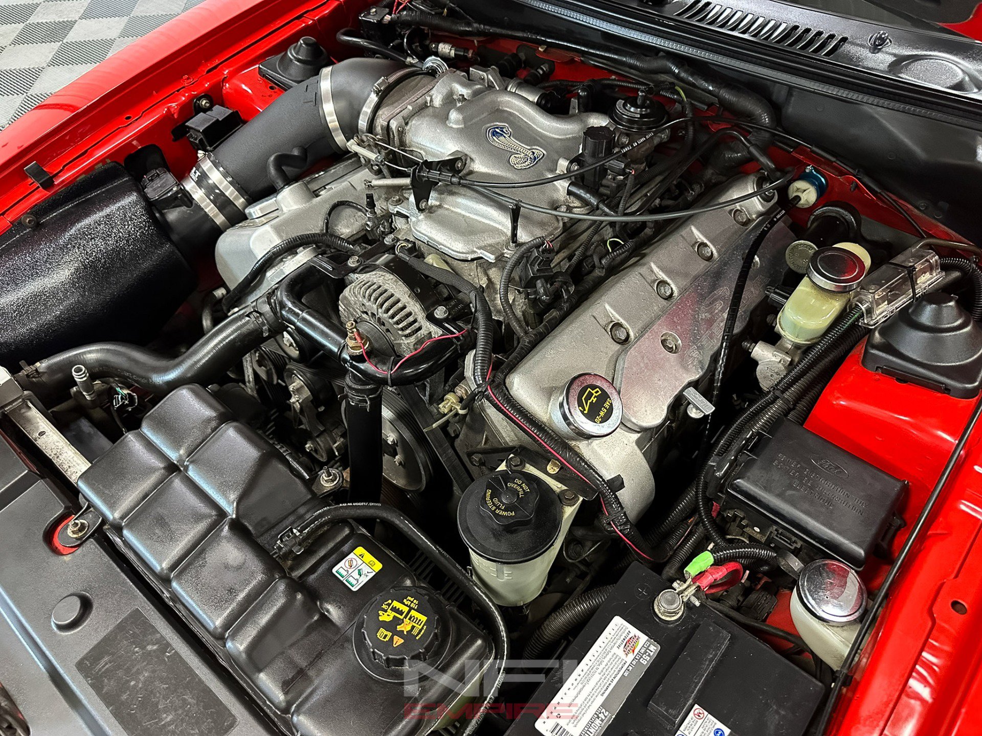 Used 2001 Ford Mustang Cobra image 41