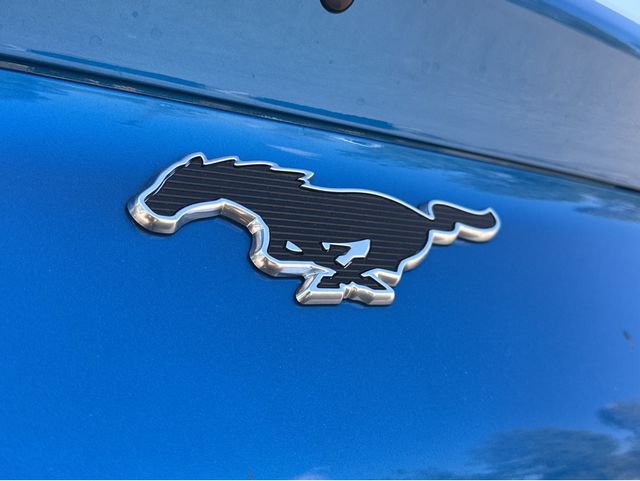 New 2026 Ford Mustang Mach-E Premium w/ Sport Appearance Package RWD image 15