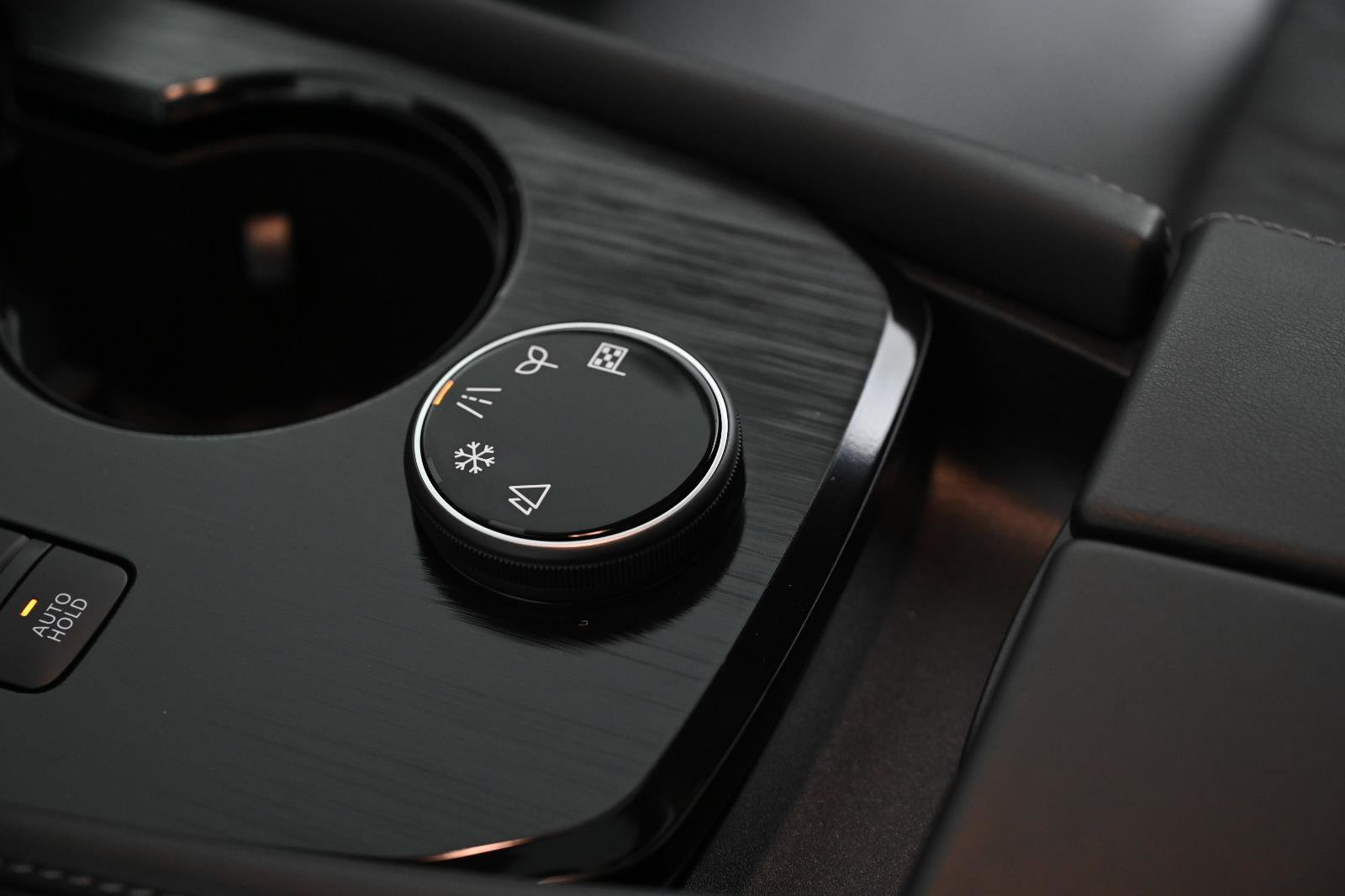 Used 2024 Nissan Rogue Platinum image 23