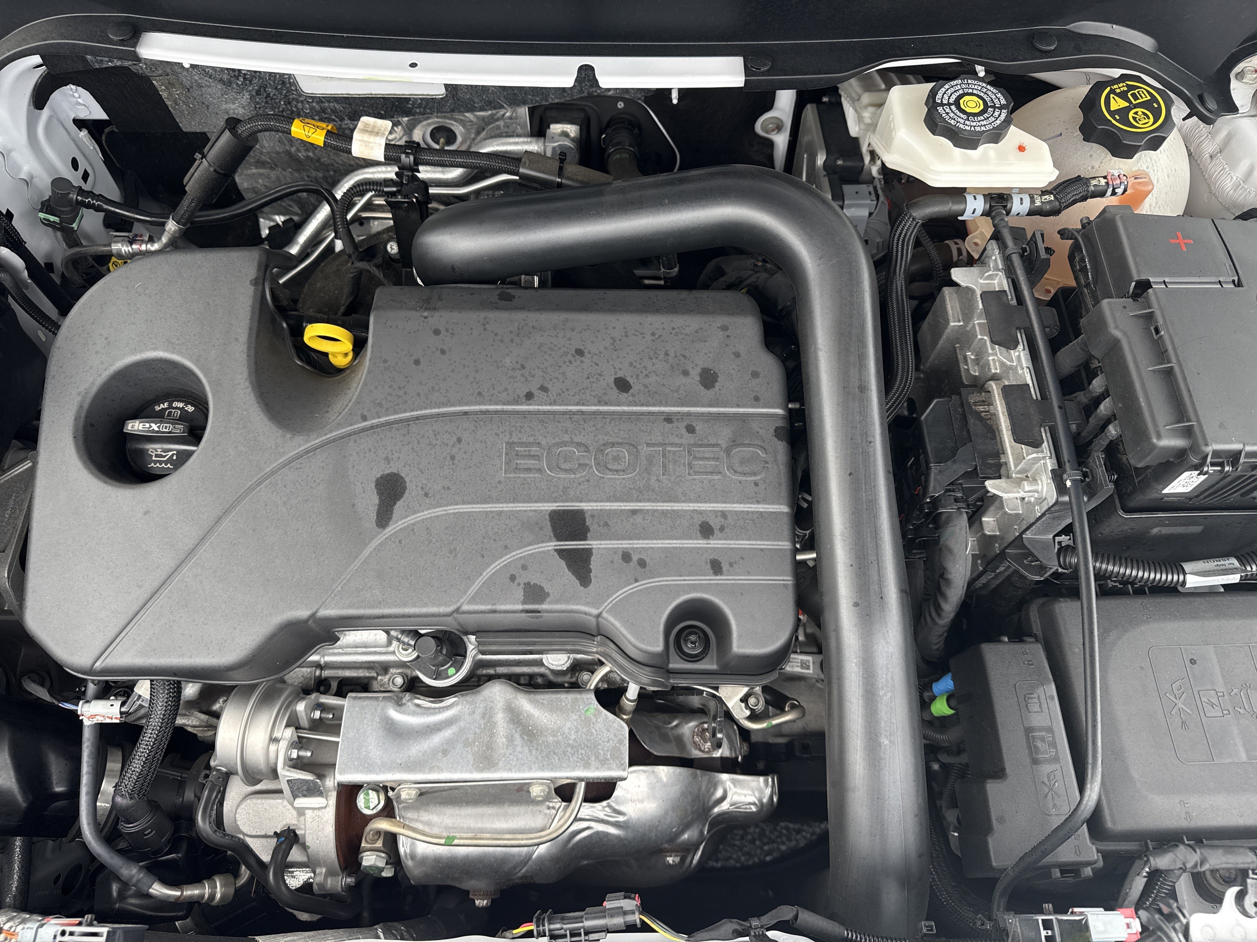 Used 2024 Chevrolet Equinox LT FWD image 5