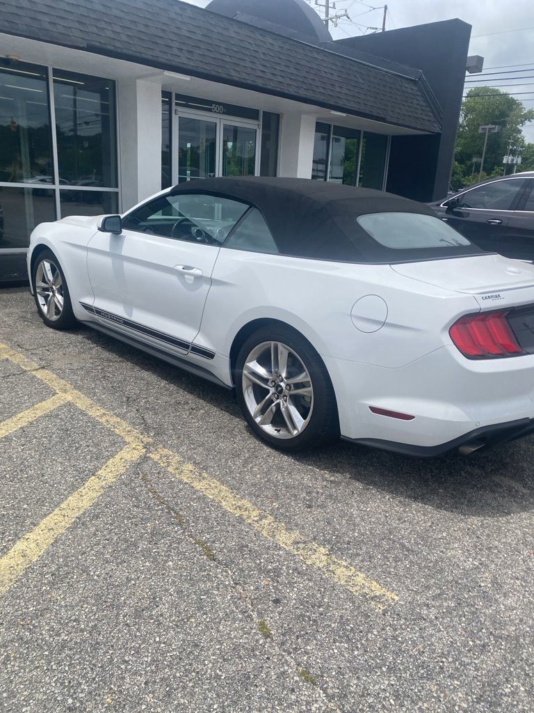 Used 2019 Ford Mustang Premium w/ Equipment Group 201A RWD image 4
