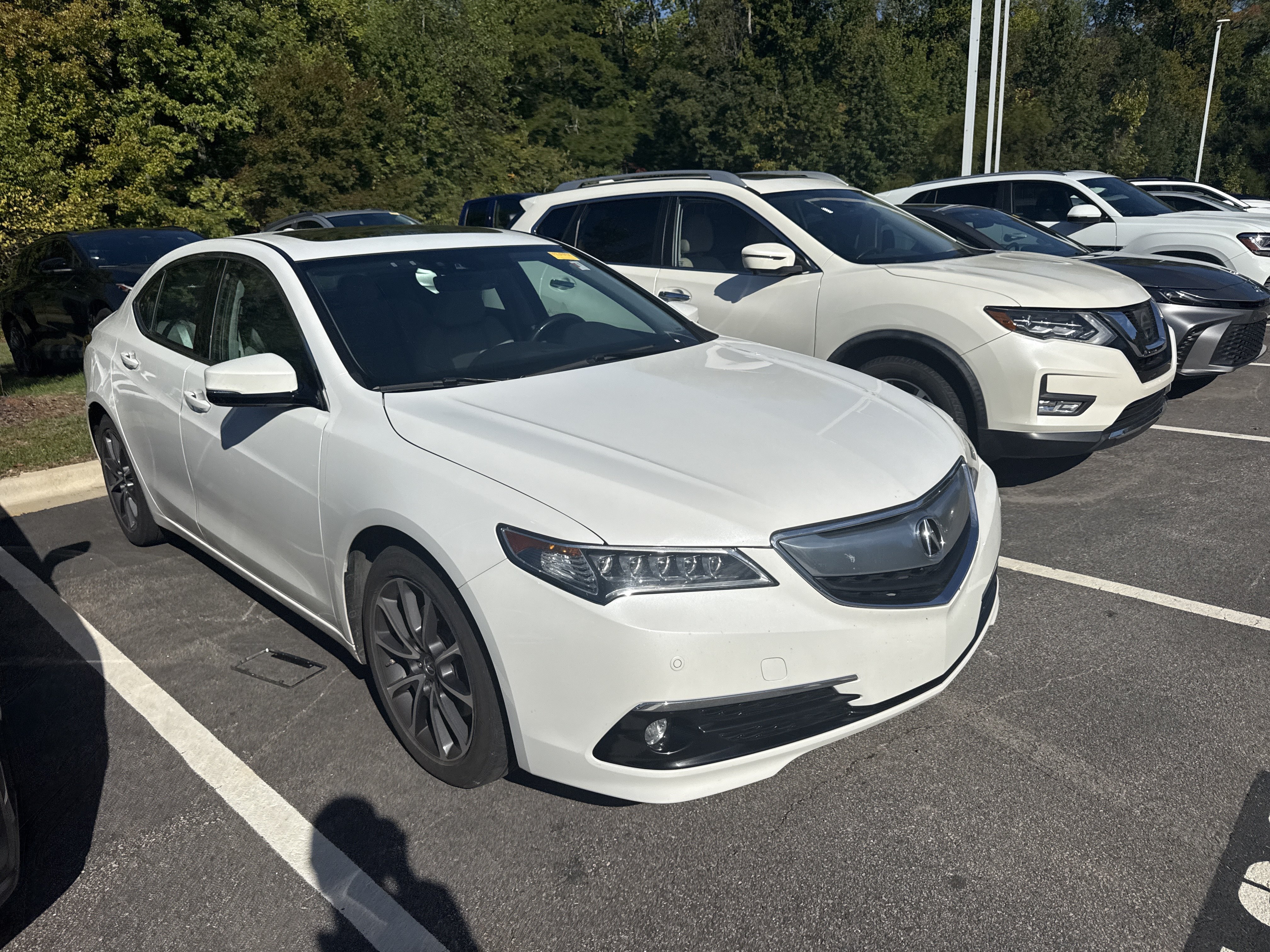 Used 2015 Acura TLX w/ Advance Package AWD/4WD image 5