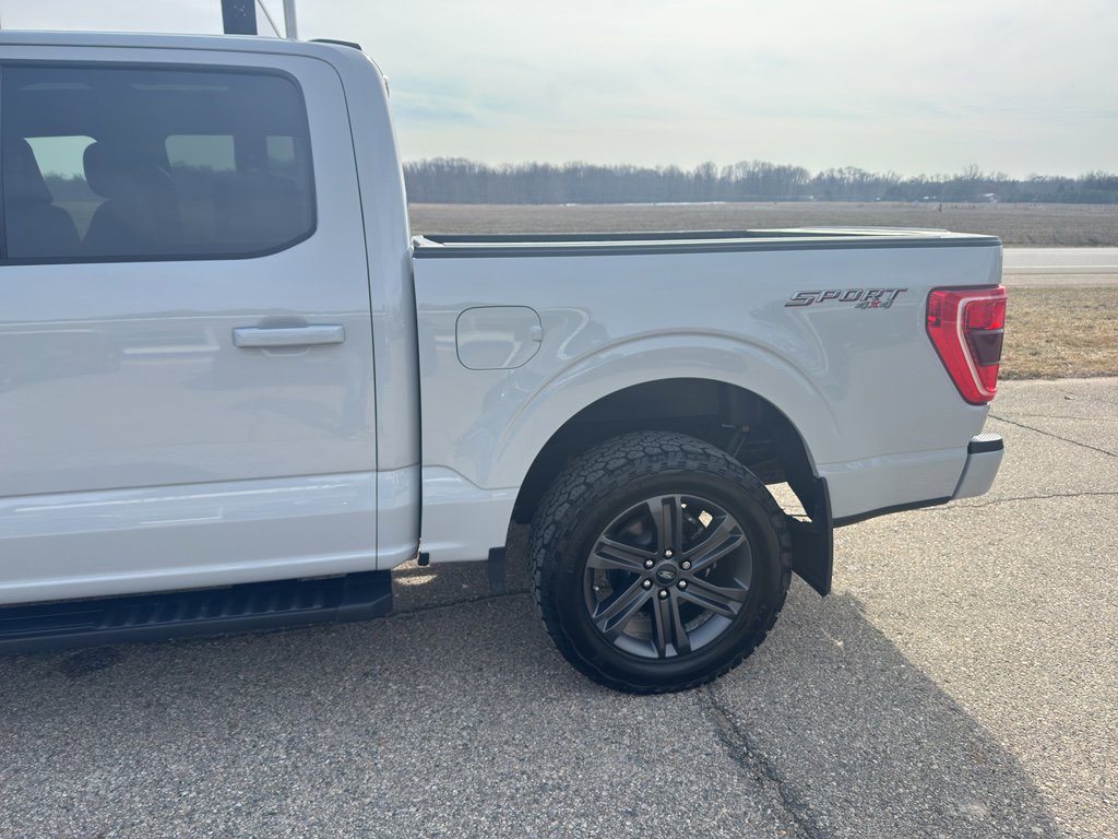 Used 2023 Ford F150 XLT w/ Equipment Group 302A High image 7
