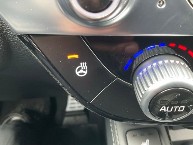 New 2025 Kia Telluride SX Prestige X-Line image 28