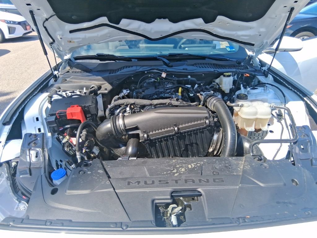 Used 2025 Ford Mustang EcoBoost image 16