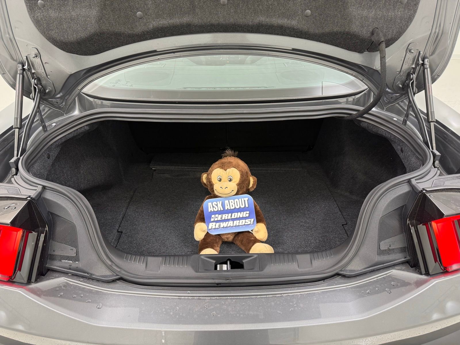 New 2026 Ford Mustang Coupe image 8