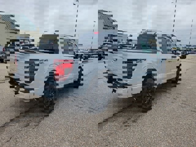 New 2025 Ford F150 STX image 25