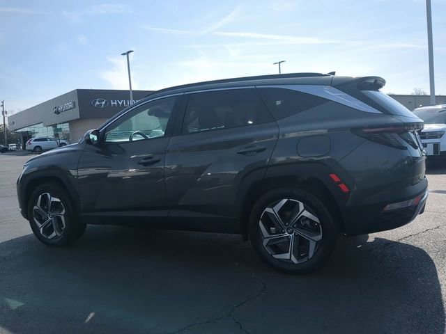 Used 2024 Hyundai Tucson Limited image 6