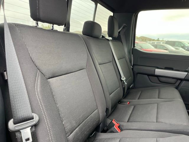 New 2025 Ford F150 XLT w/ Equipment Group 302A MID image 20