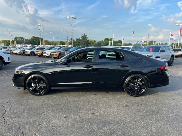 Used 2025 Honda Accord Sport image 4