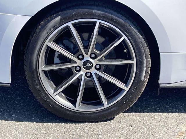 Certified 2019 Ford Mustang Premium w/ Equipment Group 201A image 13