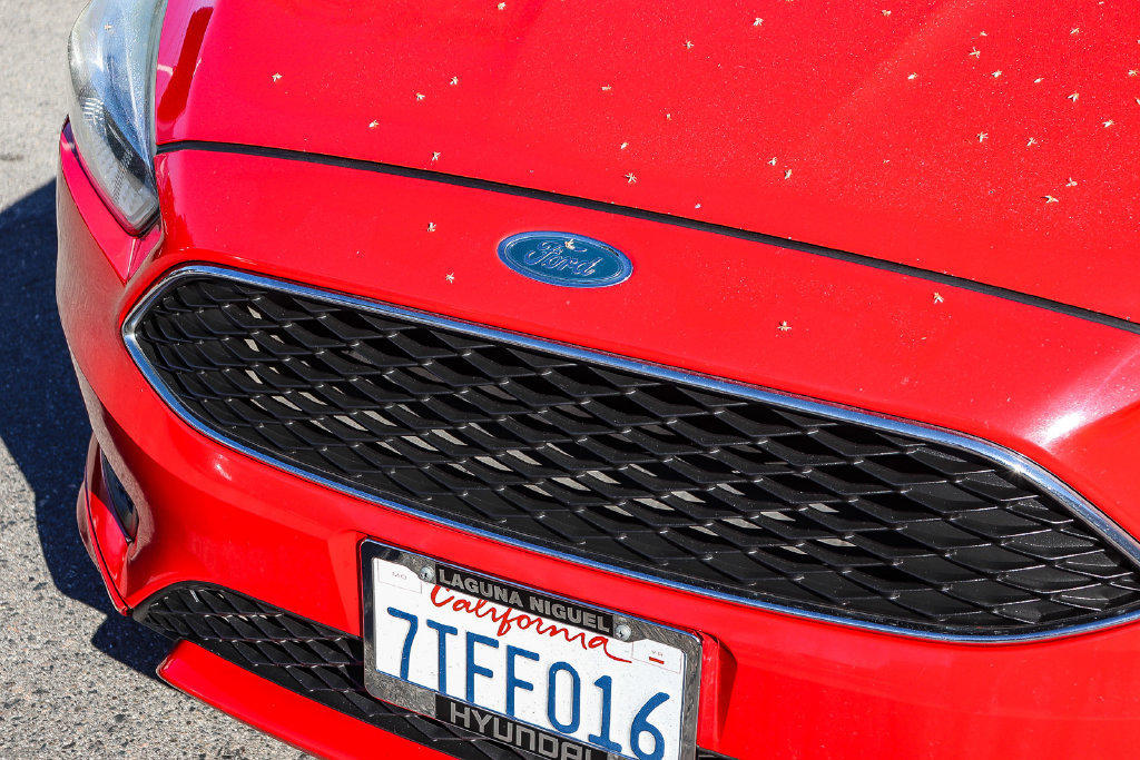 Used 2016 Ford Focus SE w/ SE Sport Package FWD image 5