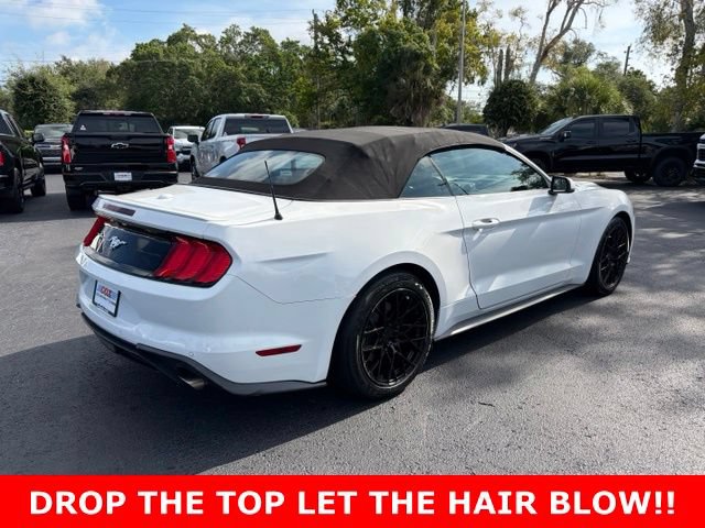 Used 2020 Ford Mustang Premium RWD image 6