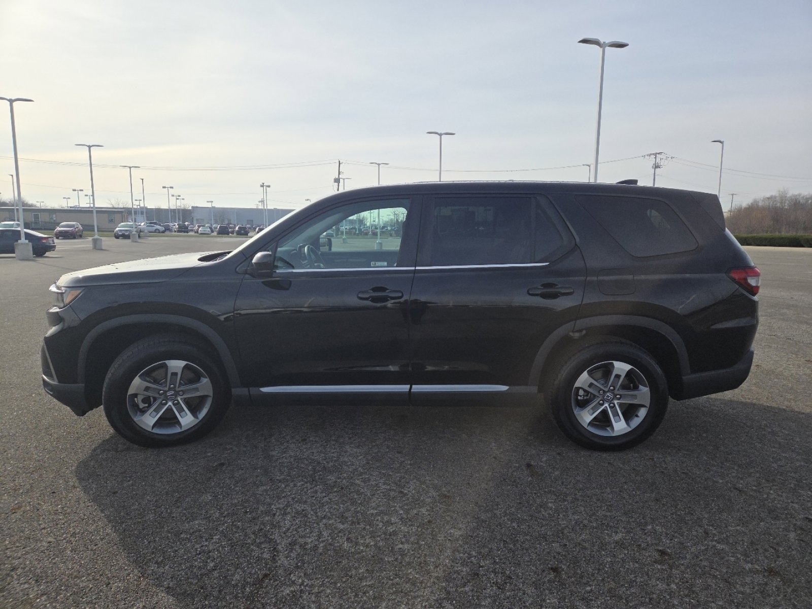 Used 2025 Honda Pilot EX-L image 14