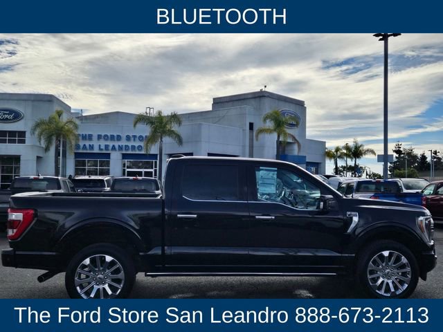 Certified 2023 Ford F150 Limited image 8