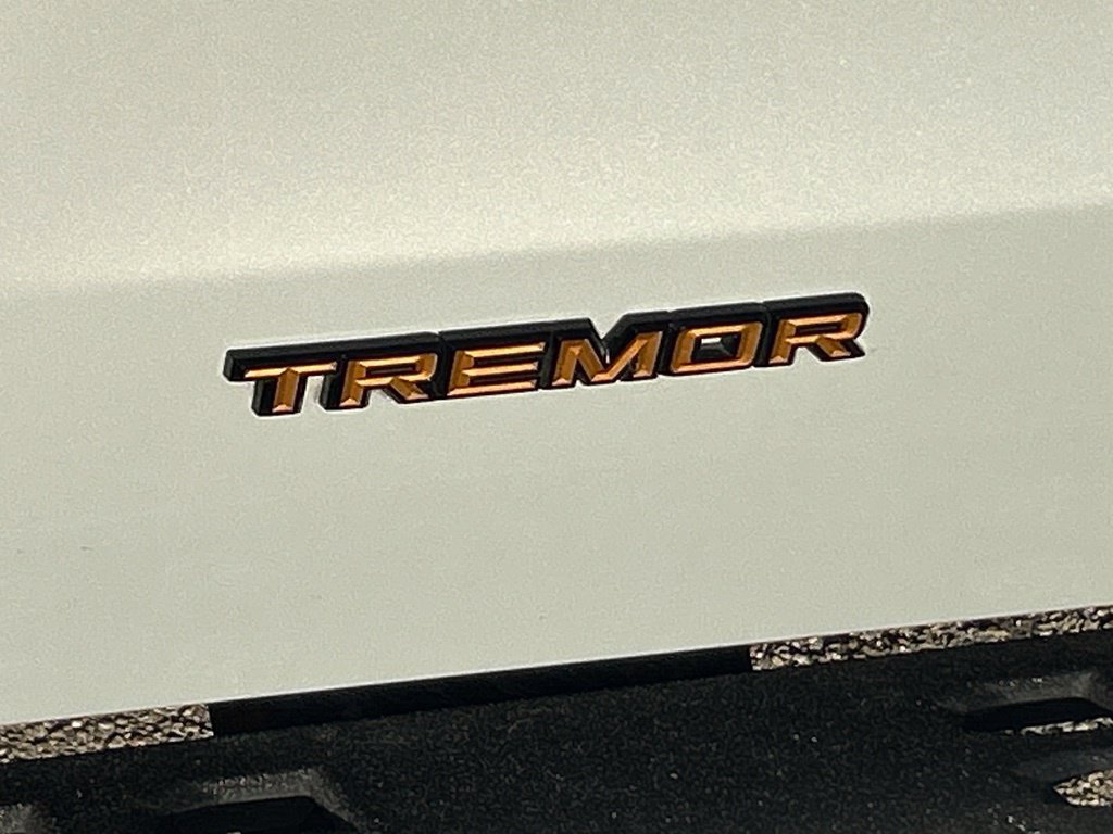 Certified 2025 Ford Expedition Tremor AWD/4WD image 18