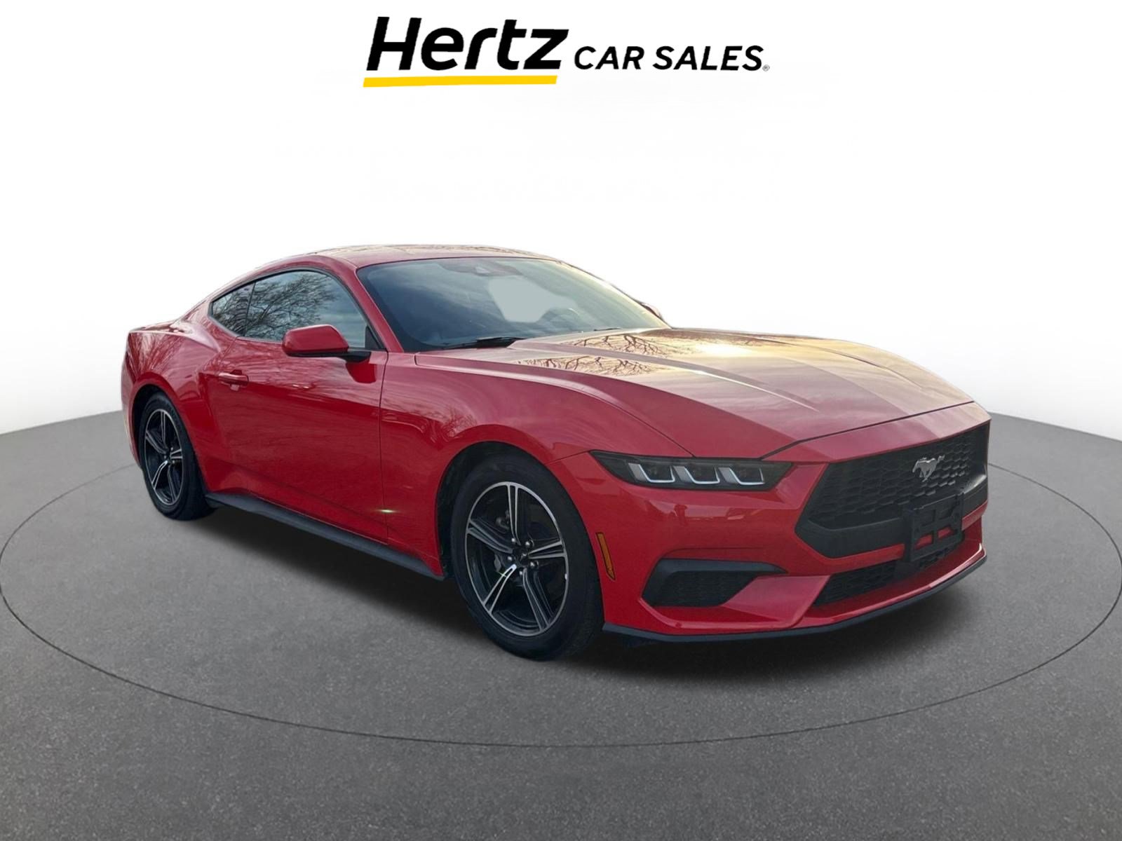 Used 2024 Ford Mustang Premium image 1