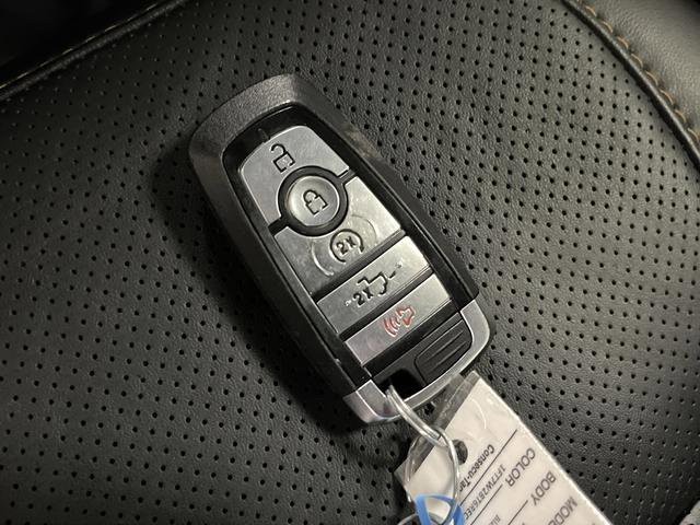 Used 2024 Ford F250 Platinum image 32