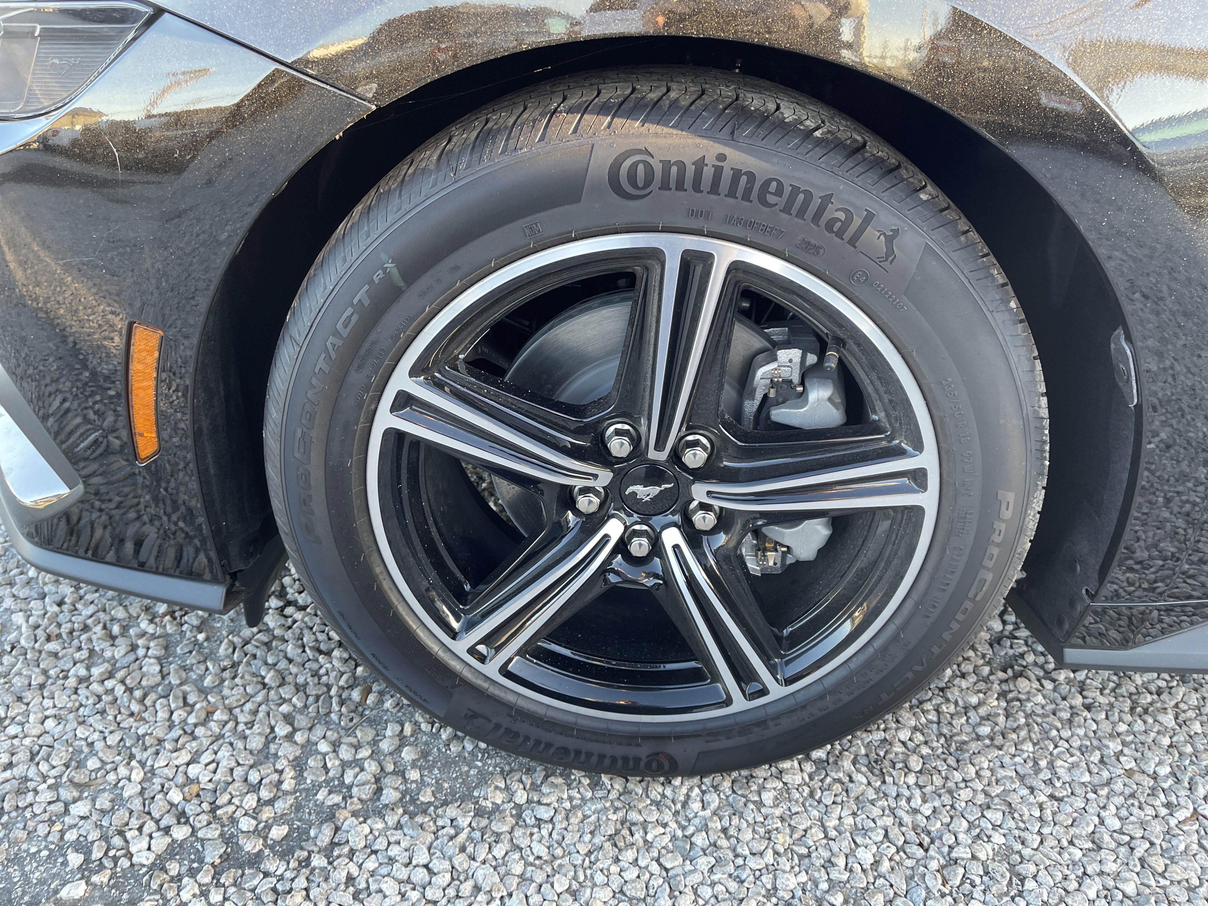 New 2025 Ford Mustang Coupe image 11