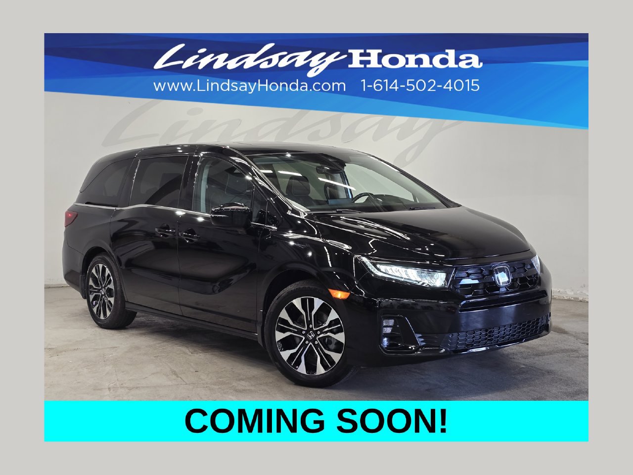 Used 2025 Honda Odyssey Elite