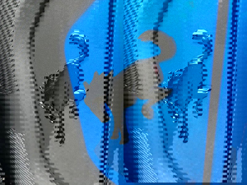 New 2024 Ford Bronco Raptor w/ Interior Carbon Fiber Pack 6 image 36