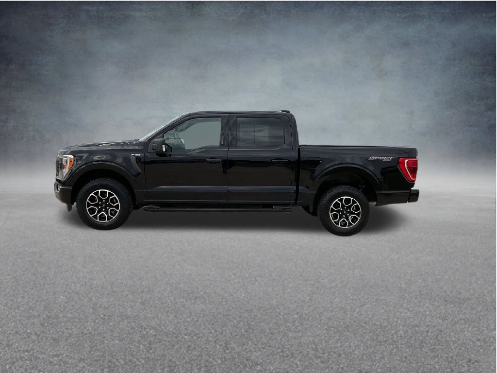 Used 2023 Ford F150 XLT w/ Equipment Group 302A High AWD/4WD image 4