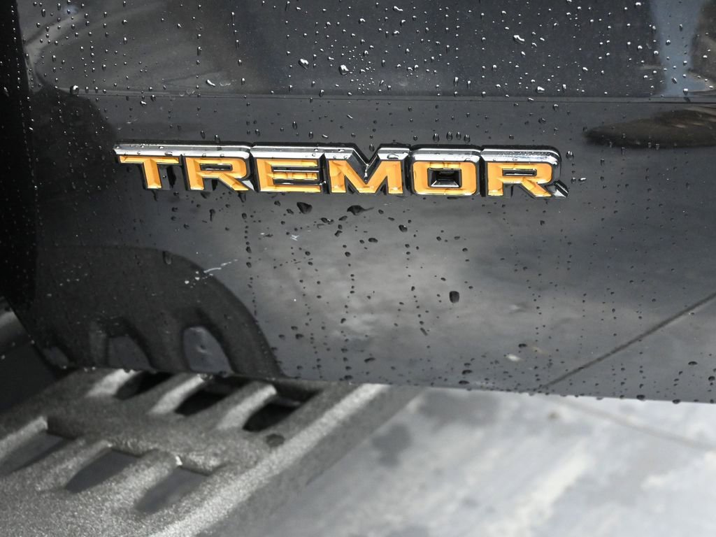 New 2025 Ford Expedition Tremor image 10