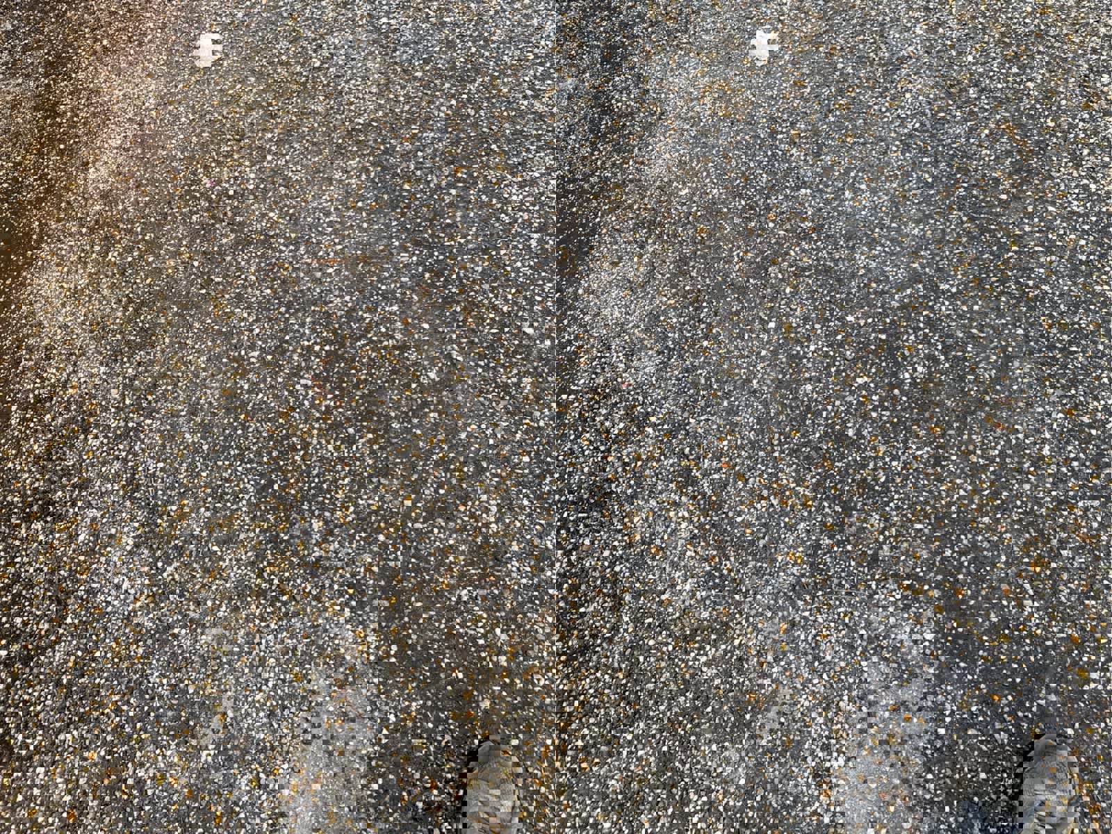 Used 2016 Chevrolet Silverado 1500 LT w/ All Star Edition image 6