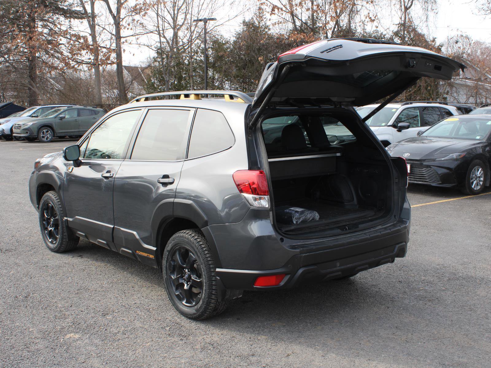 Certified 2023 Subaru Forester Wilderness image 7