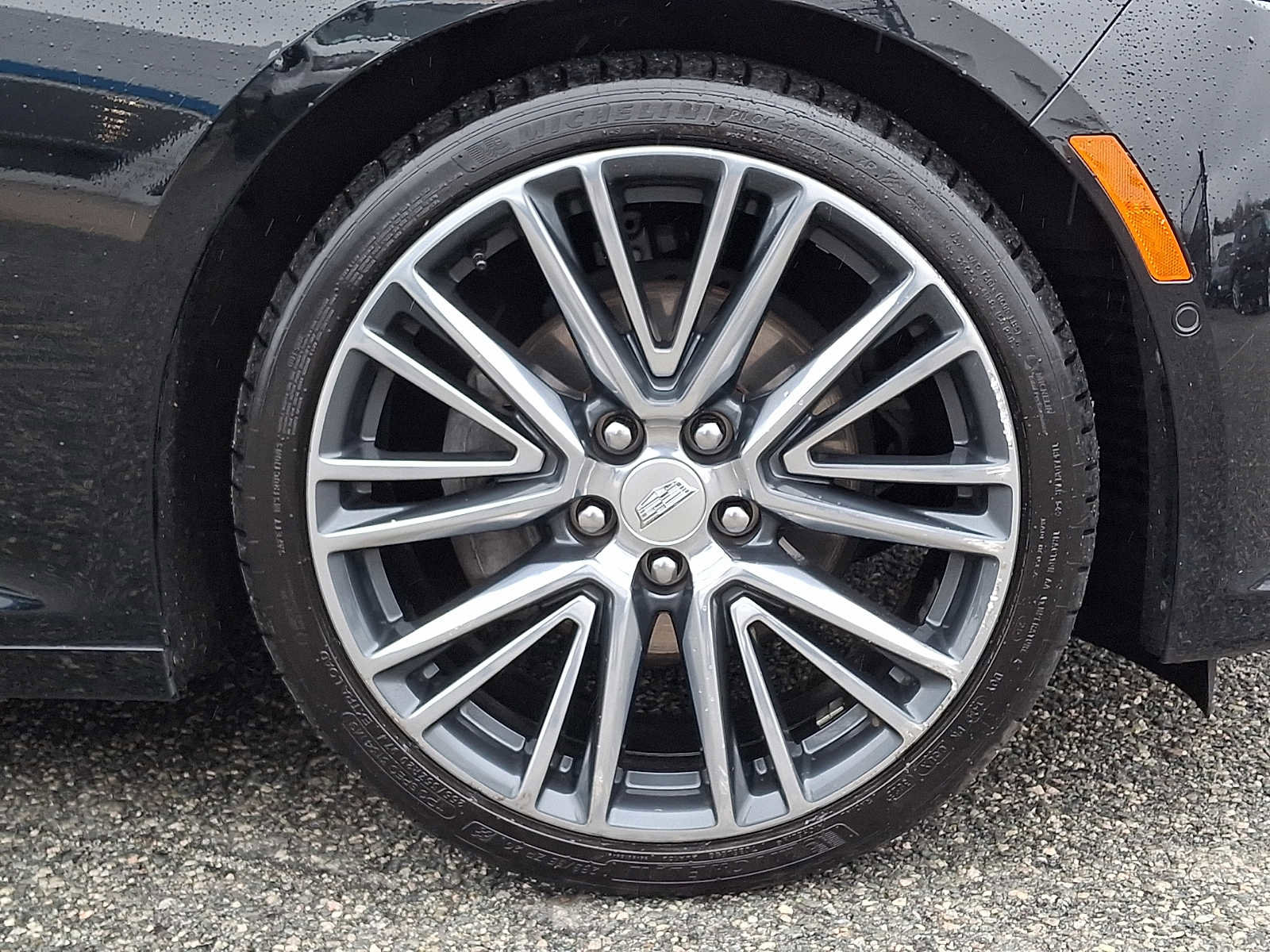 Certified 2023 Cadillac CT5 Premium Luxury w/ Parking Package image 8