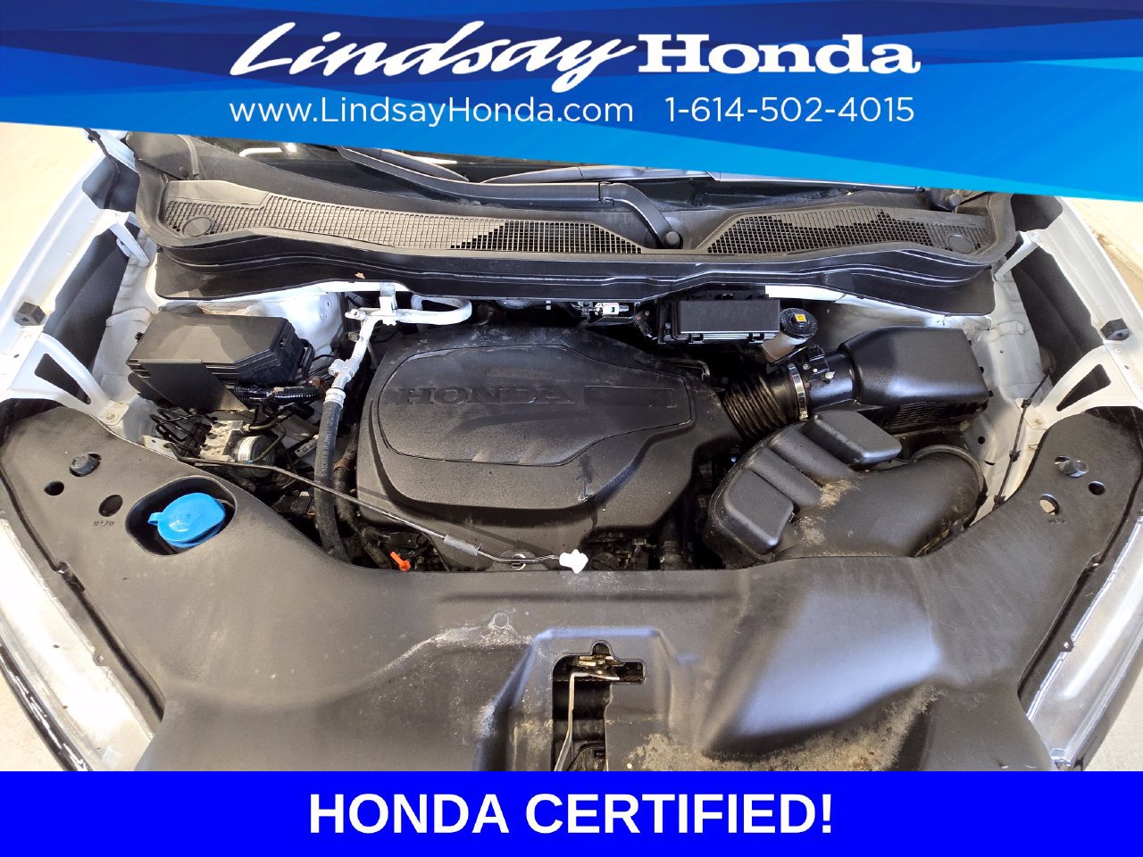 Certified 2024 Honda Ridgeline TrailSport image 25