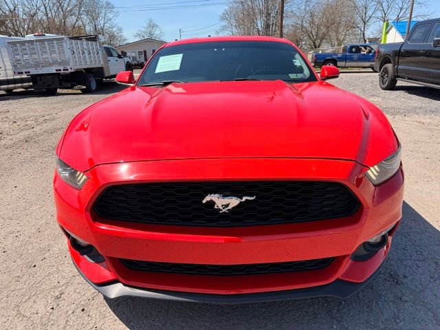 Used 2016 Ford Mustang Premium w/ Equipment Group 201A image 3