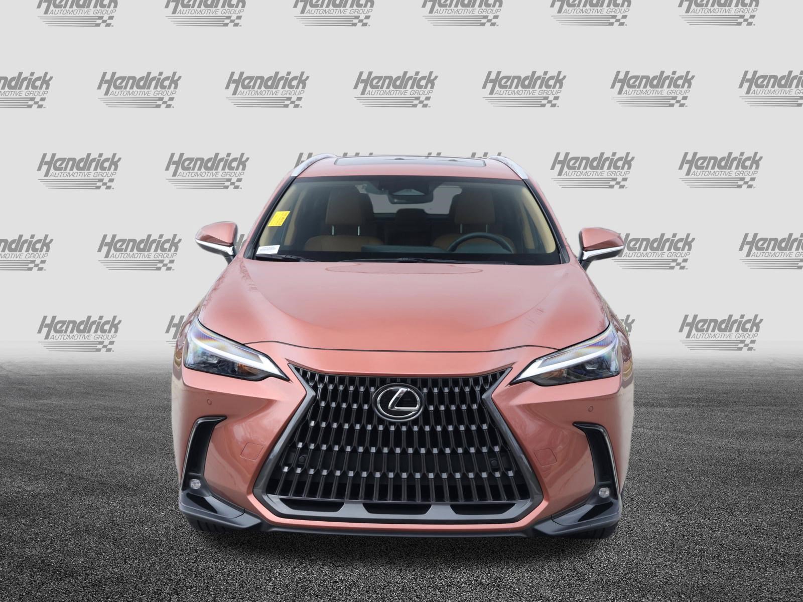 Certified 2025 Lexus NX 250 FWD w/ Cold Area Package image 3