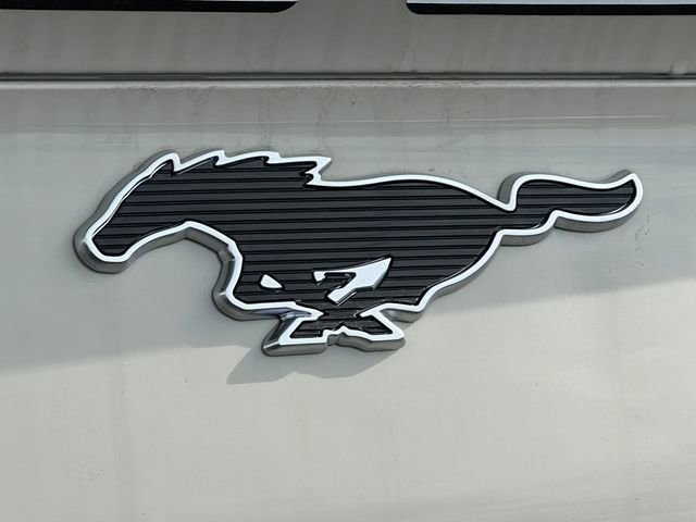 New 2025 Ford Mustang Mach-E GT w/ Interior Protection Package image 52