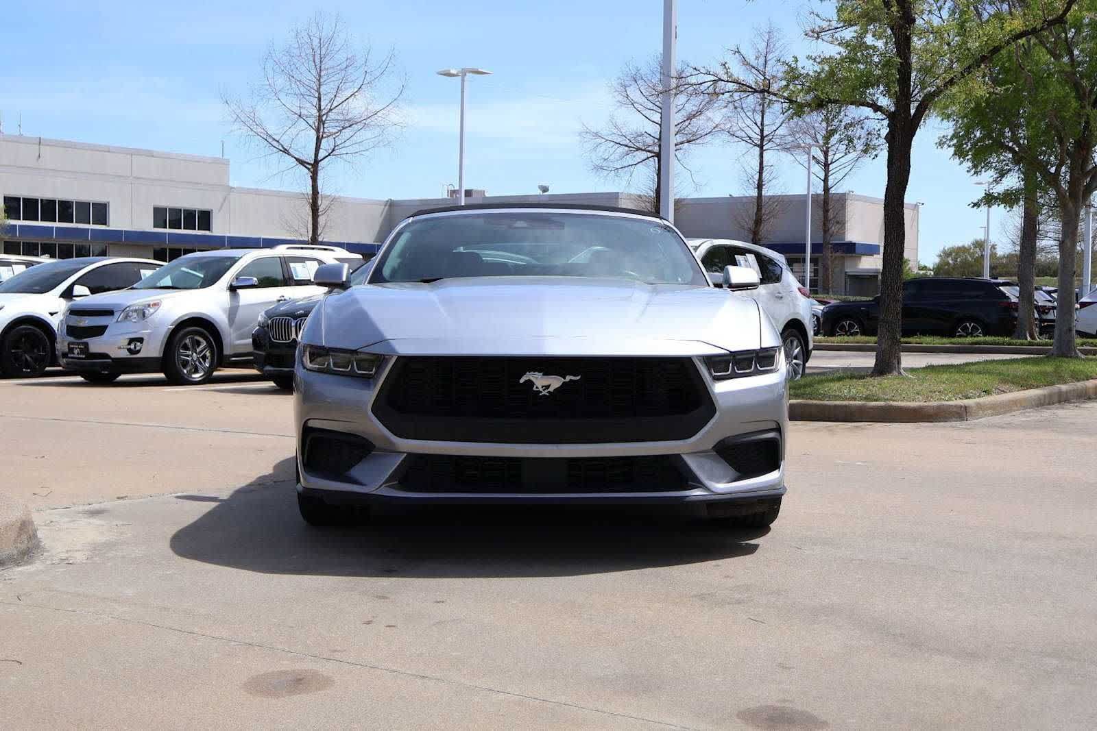 Used 2024 Ford Mustang Premium RWD image 6