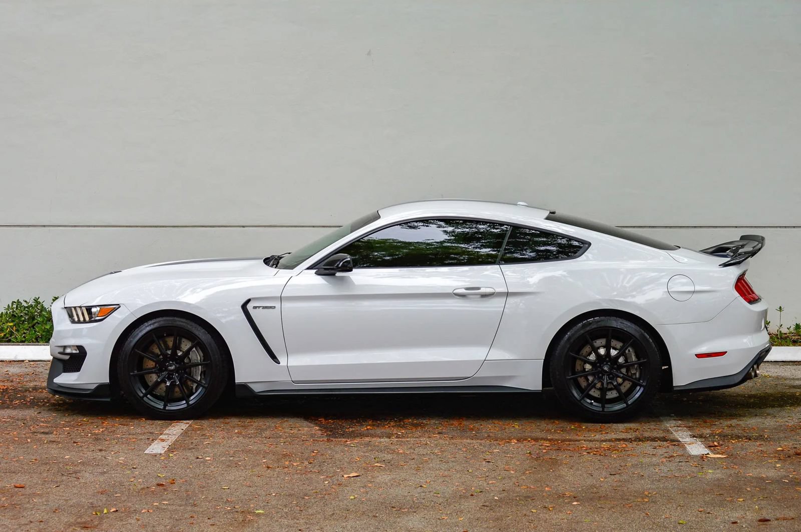 Used 2018 Ford Mustang Shelby GT350 w/ Convenience Package RWD image 4