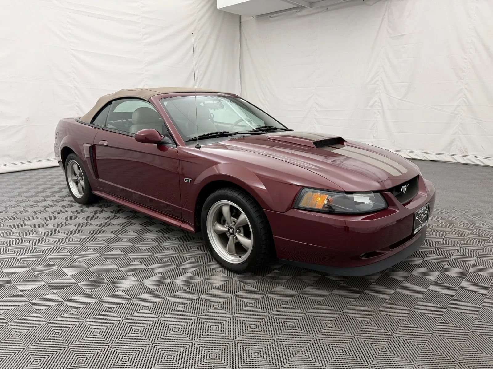 Used 2004 Ford Mustang GT RWD image 4