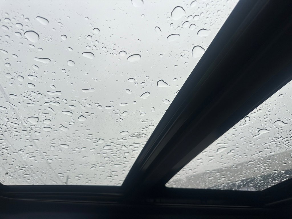 Used 2019 Ford F150 Raptor w/ Equipment Group 802A Luxury image 20