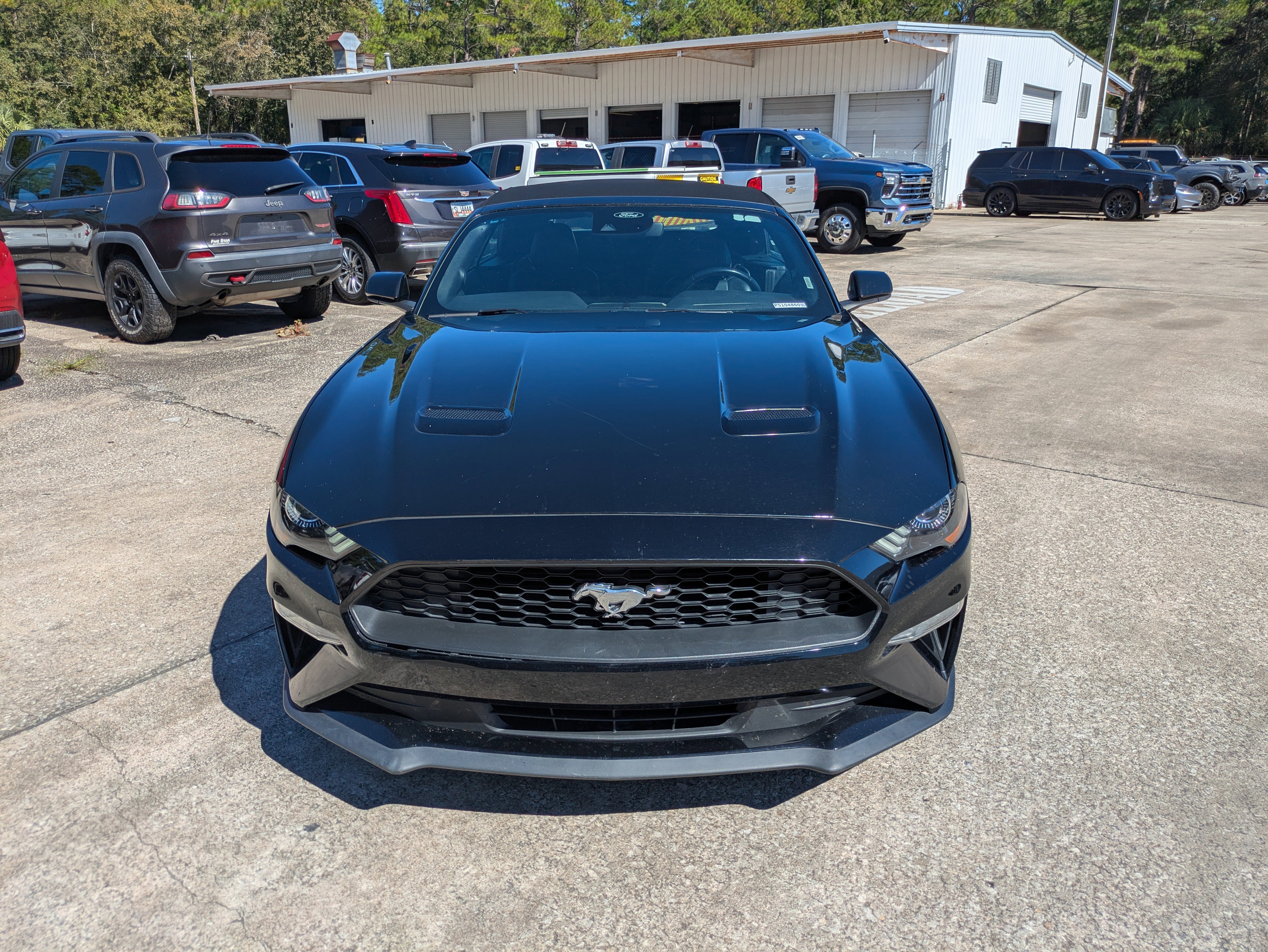 Used 2023 Ford Mustang Premium image 29