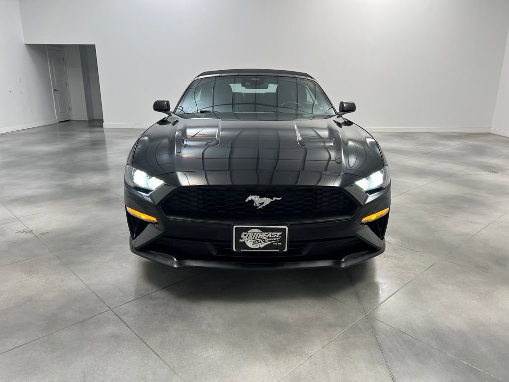 Used 2023 Ford Mustang Premium image 2
