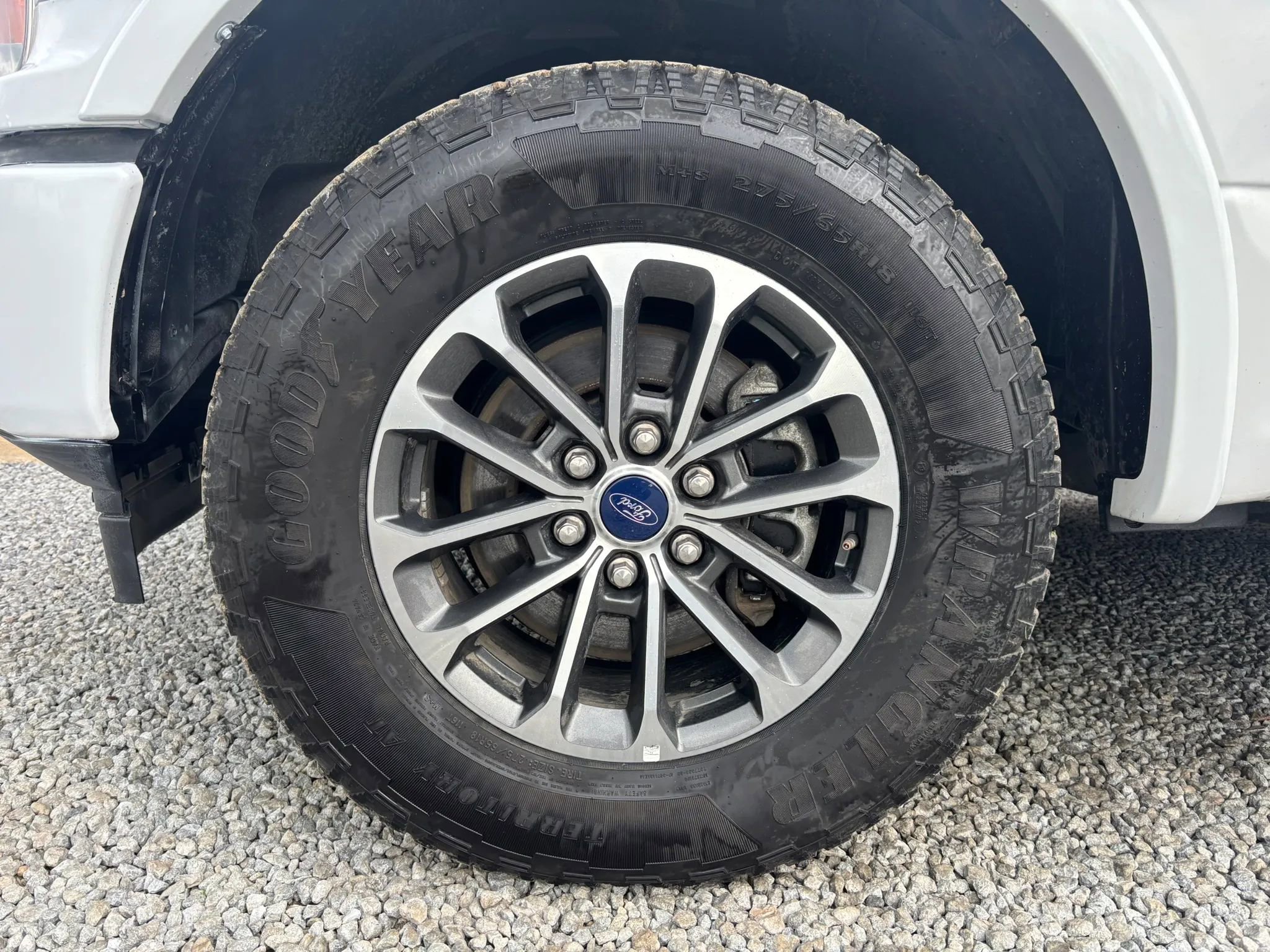 Used 2019 Ford F150 XLT w/ Equipment Group 302A Luxury AWD/4WD image 12