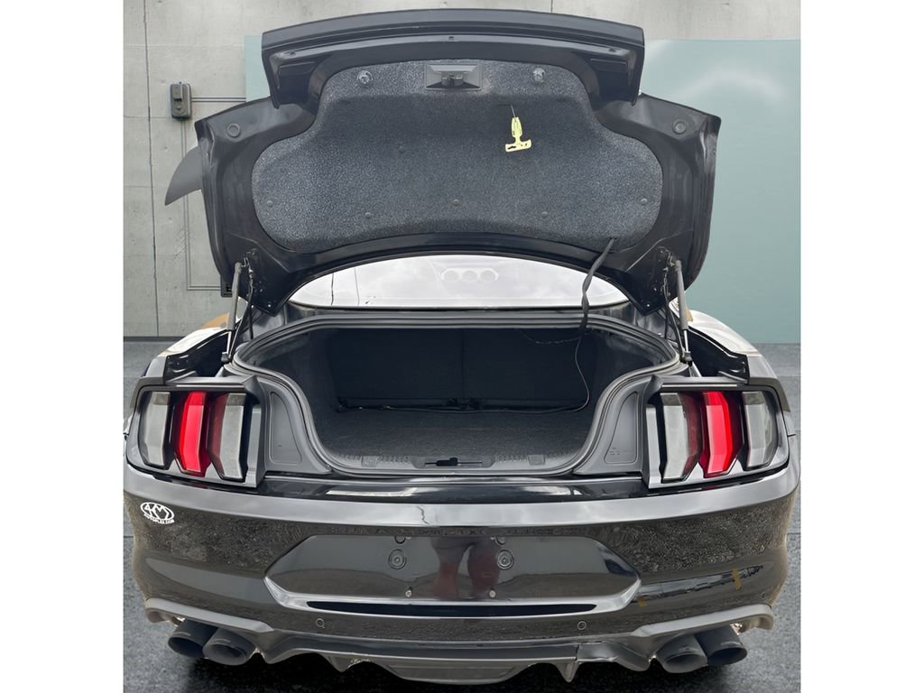 Used 2019 Ford Mustang GT w/ Black Accent Package RWD image 9