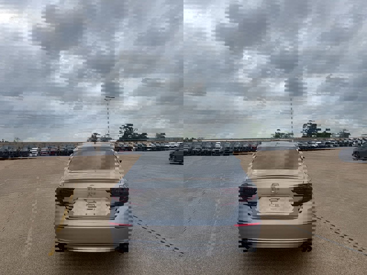 Used 2019 Honda Accord EX image 20