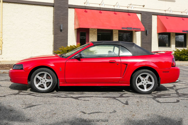 Used 1999 Ford Mustang Cobra RWD image 22