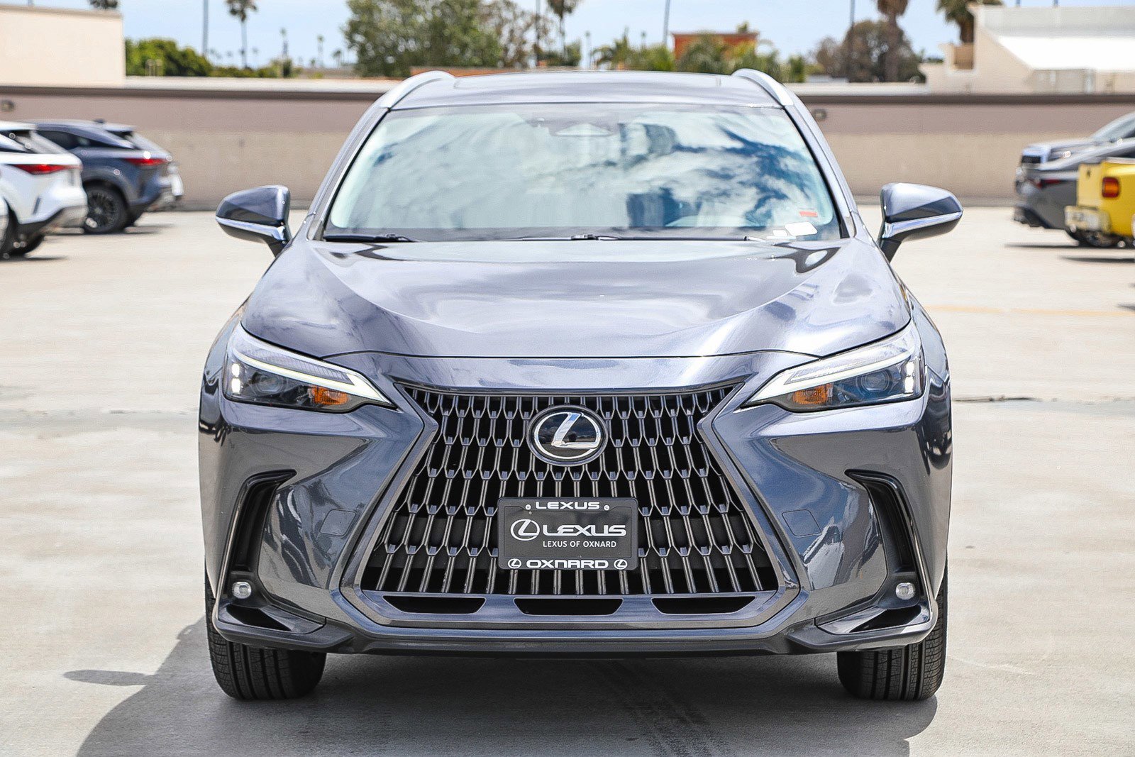 Used 2022 Lexus NX 350 AWD w/ Cold Area Package image 2