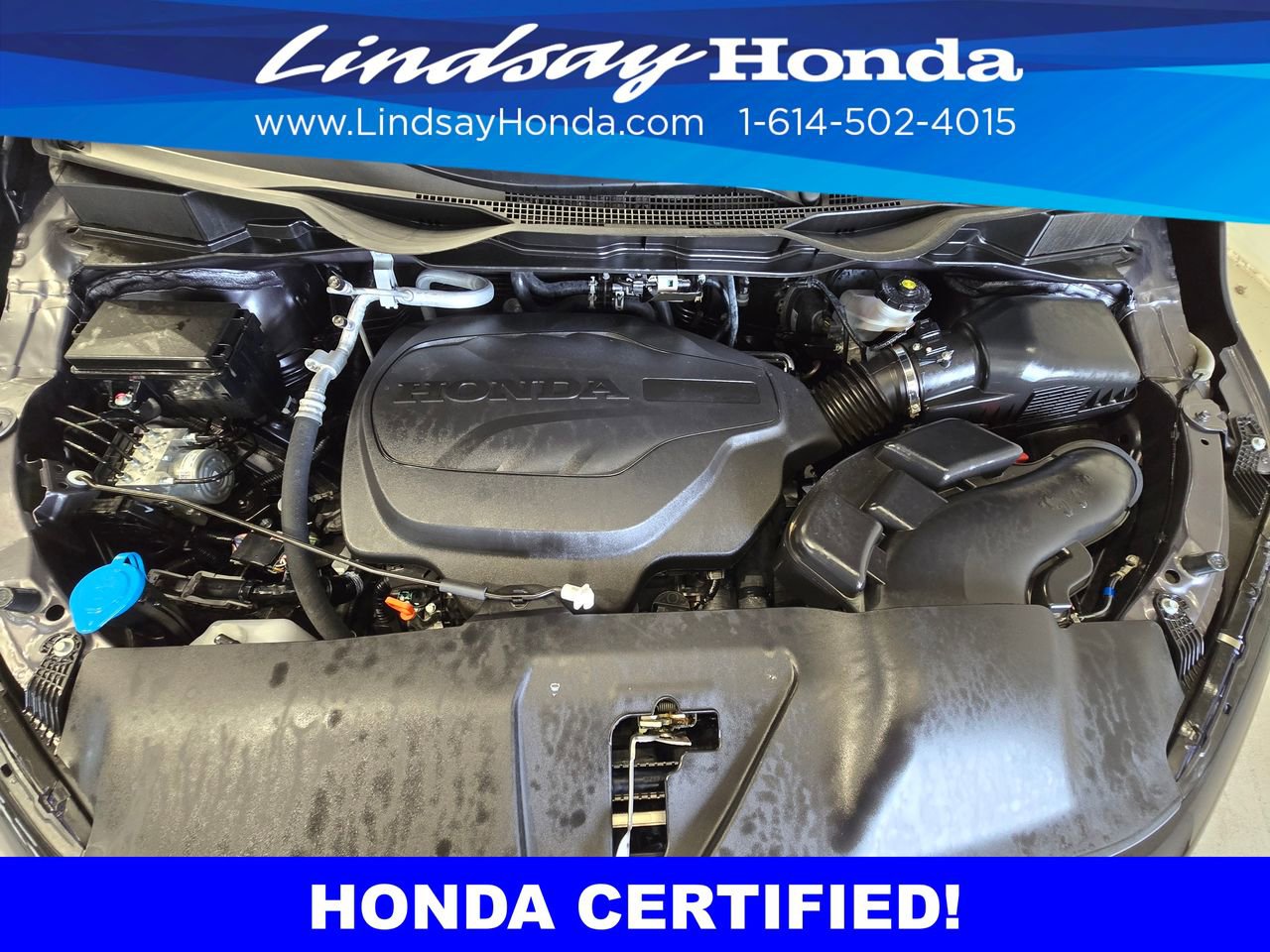 Certified 2026 Honda Odyssey Elite image 25