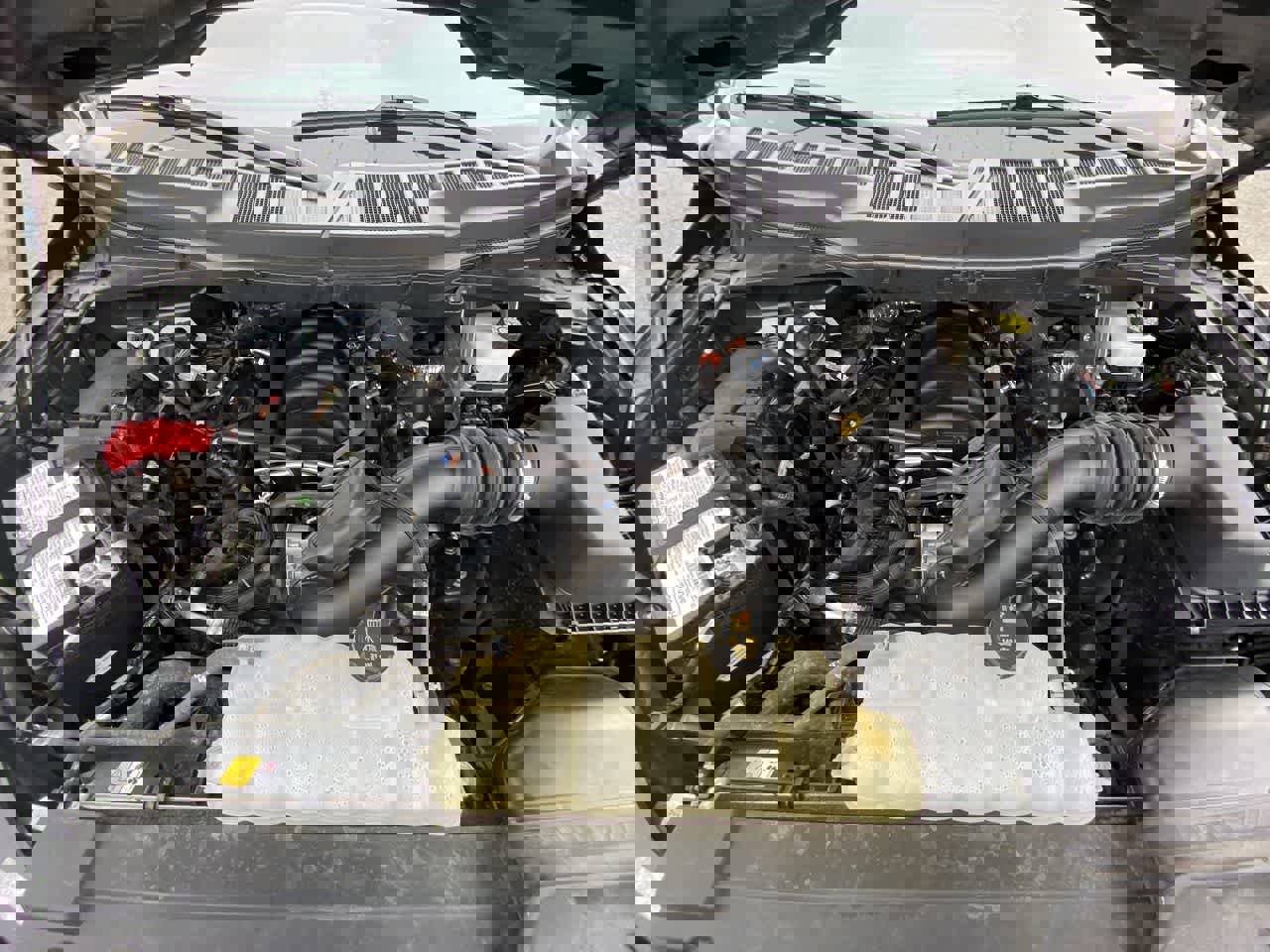 Used 2023 Ford F150 XLT image 24