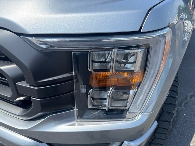 Used 2022 Ford F150 XLT w/ Equipment Group 302A High AWD/4WD image 9