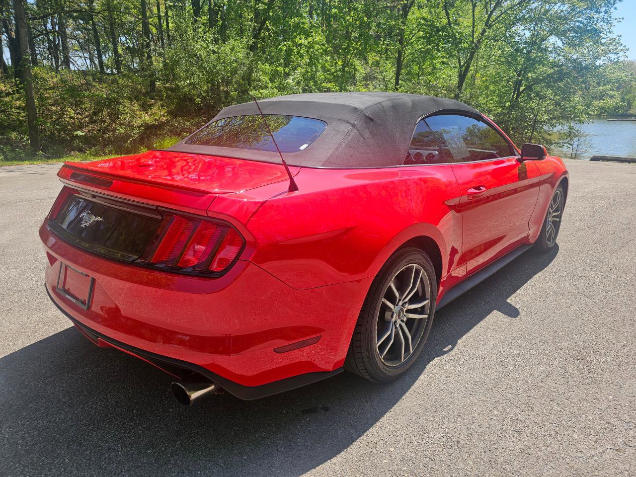 Used 2016 Ford Mustang Premium RWD image 6