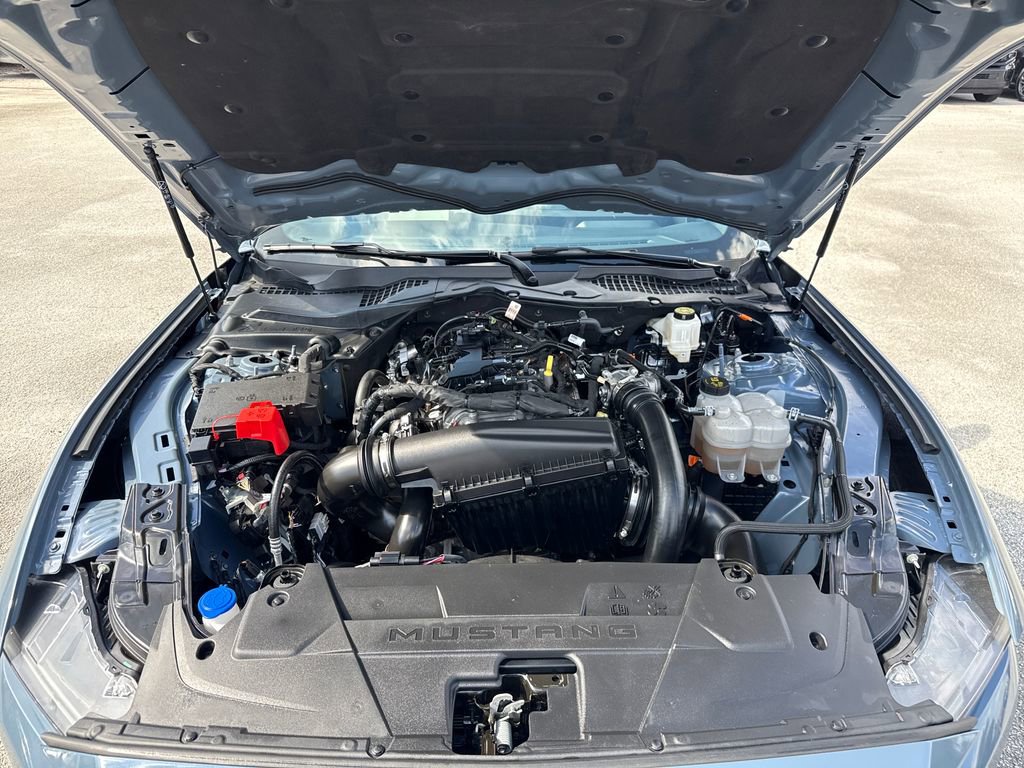Certified 2025 Ford Mustang Premium image 29